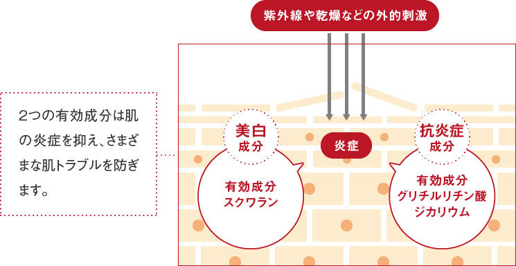 トラネキサム酸ローション　6本セット